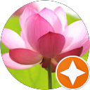 Fanie V. profile picture